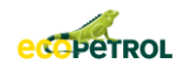 Eco Petrol Logo